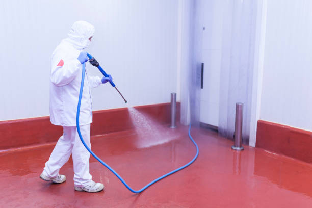 Best Deck and Patio Pressure Washing in Rexburg, ID
